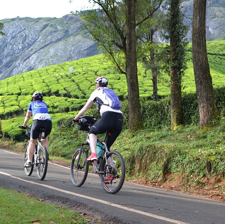 Cycling Trough Tea Estates