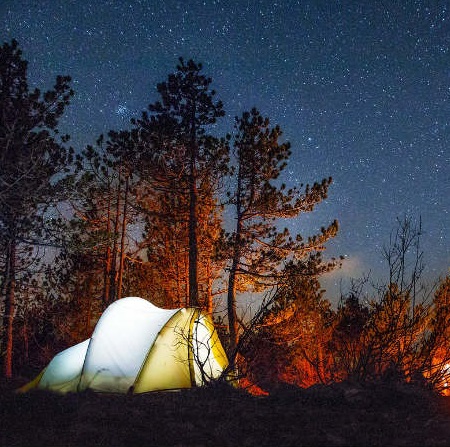Forest Camping